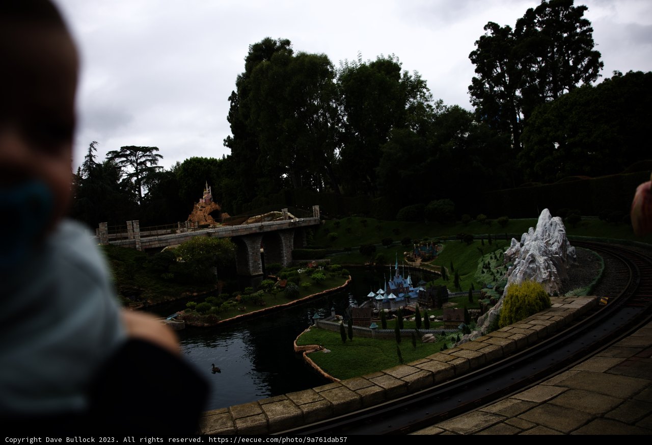 Magical Moments: Baby's First Train Adventure at Disneyland