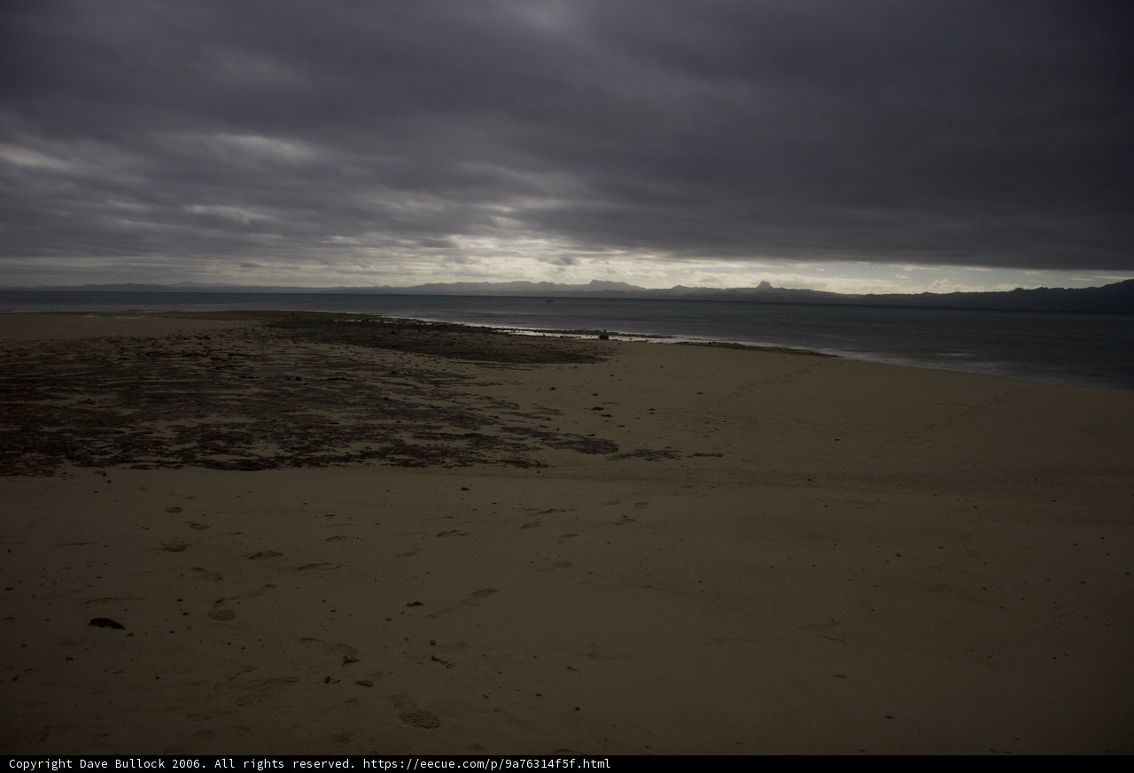Solitude on the Shoreline