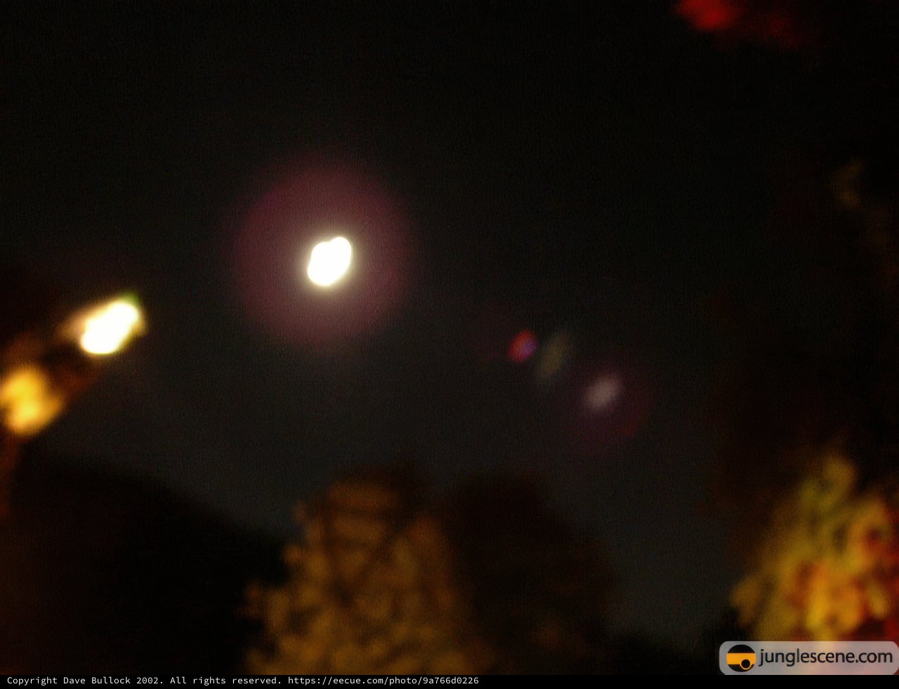 Blurry Night Light Flare