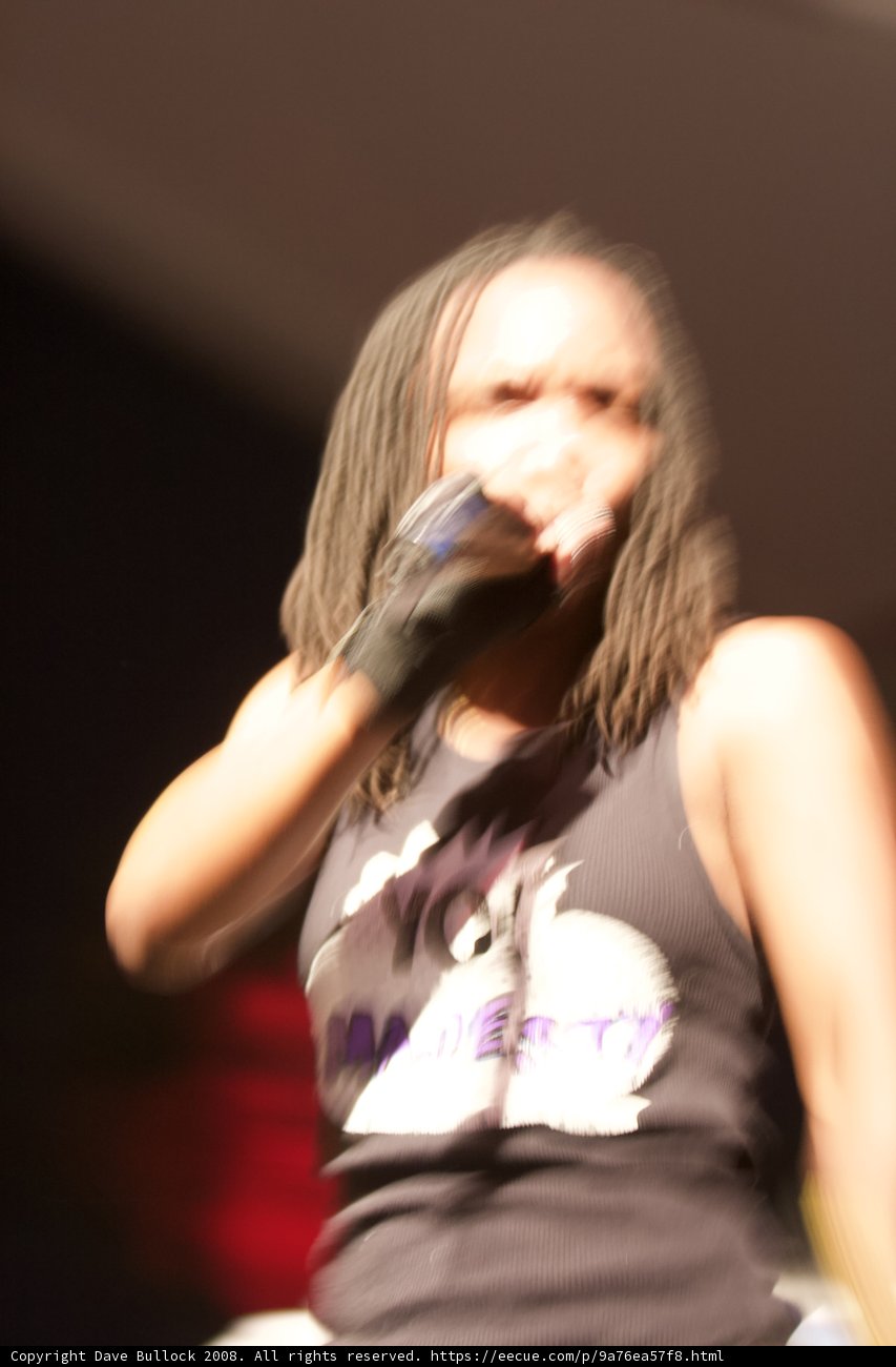 The Dreadlocked Songstress Takes Coachella