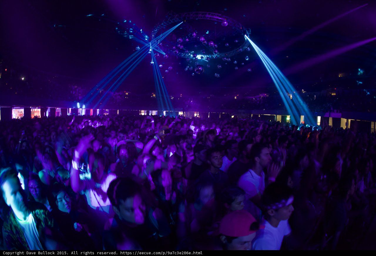 Purple Atmosphere Crowd