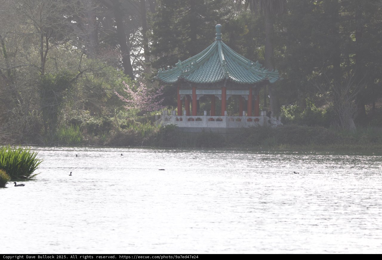 Serenity by the Water's Edge