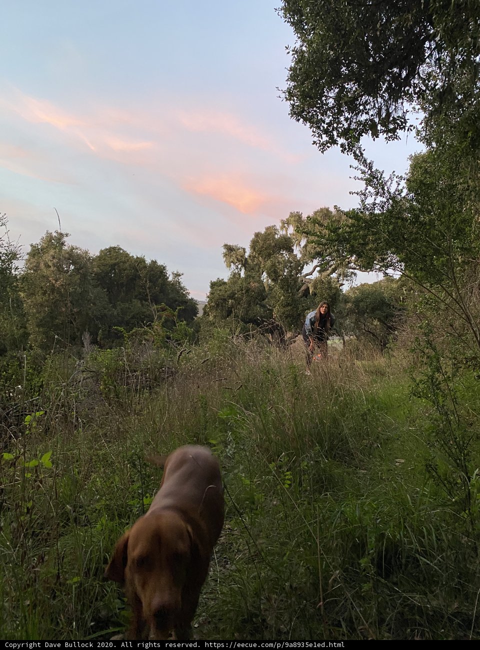 Bike Ride with a Furry Friend