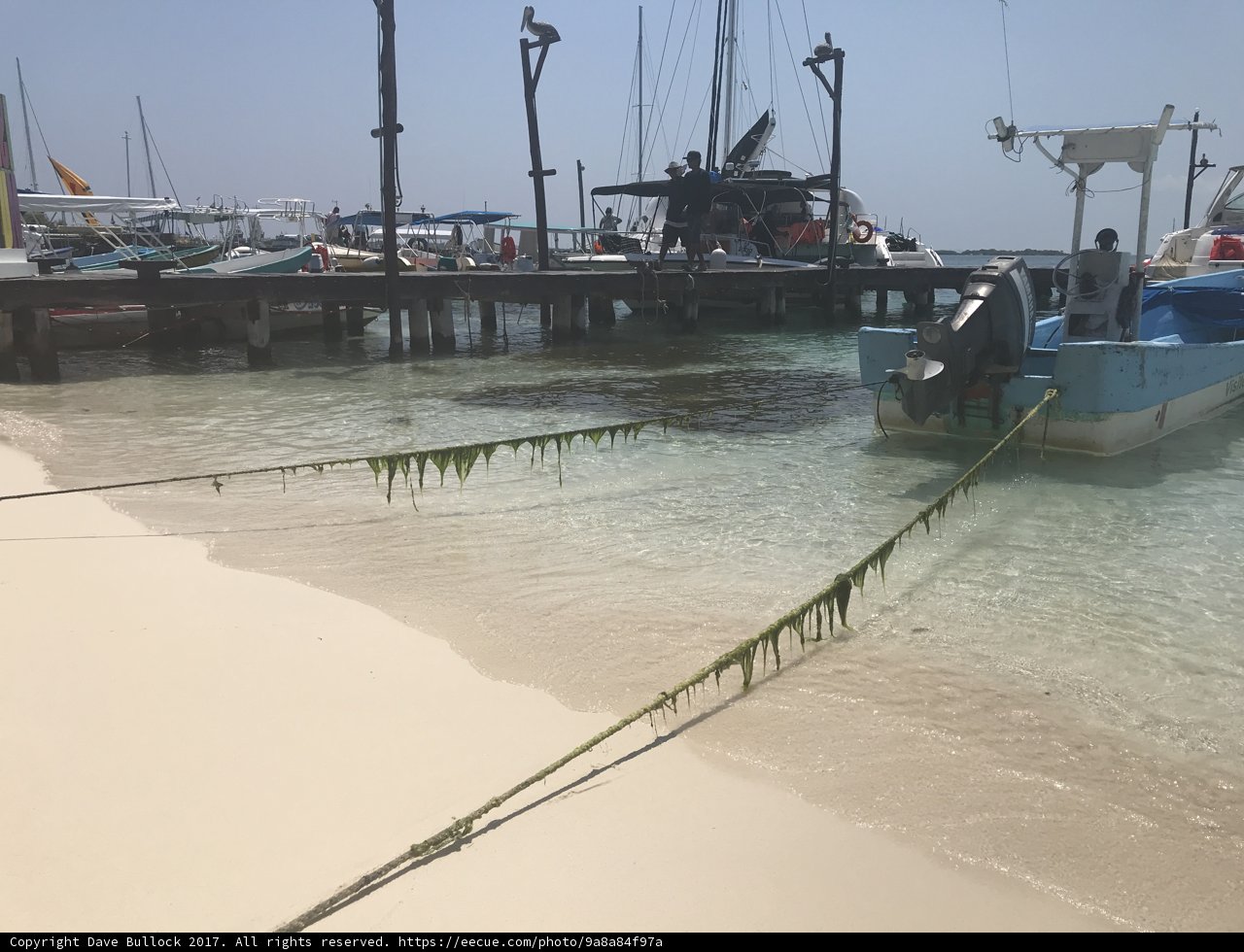 Algae Covered Boat at the Waterfront