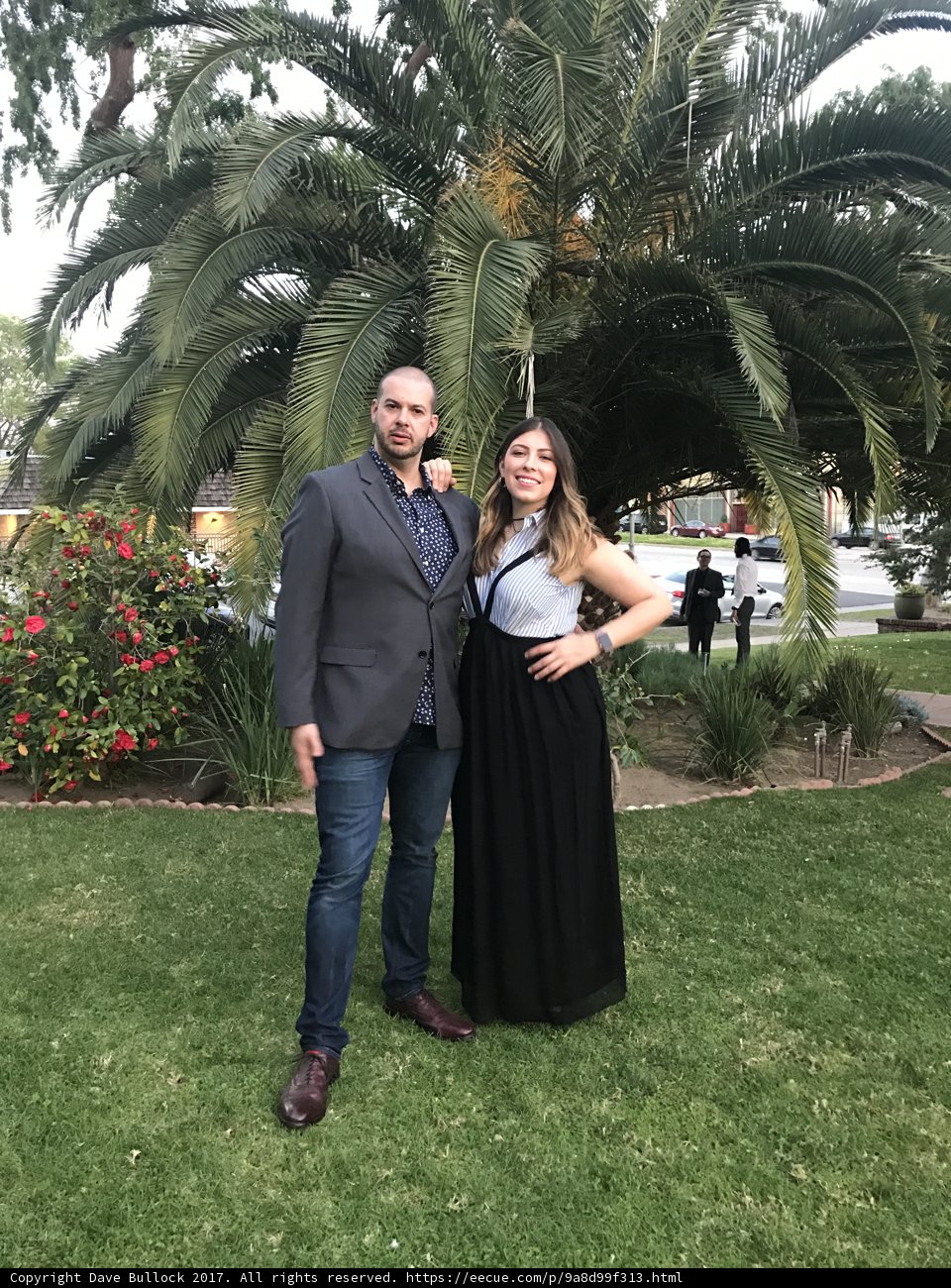 A Night in the Palm Trees