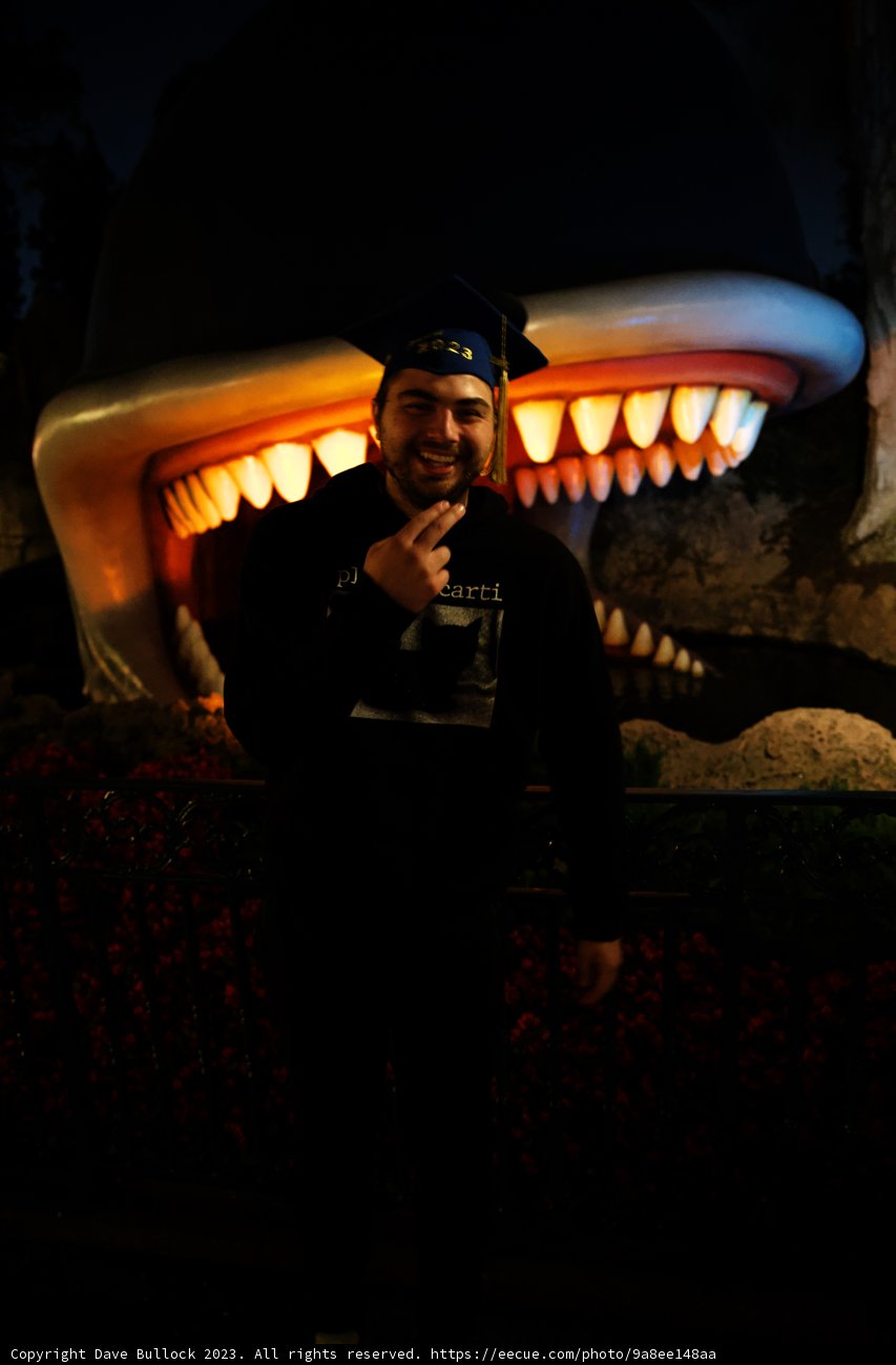 Adventures with Sharks at Disneyland