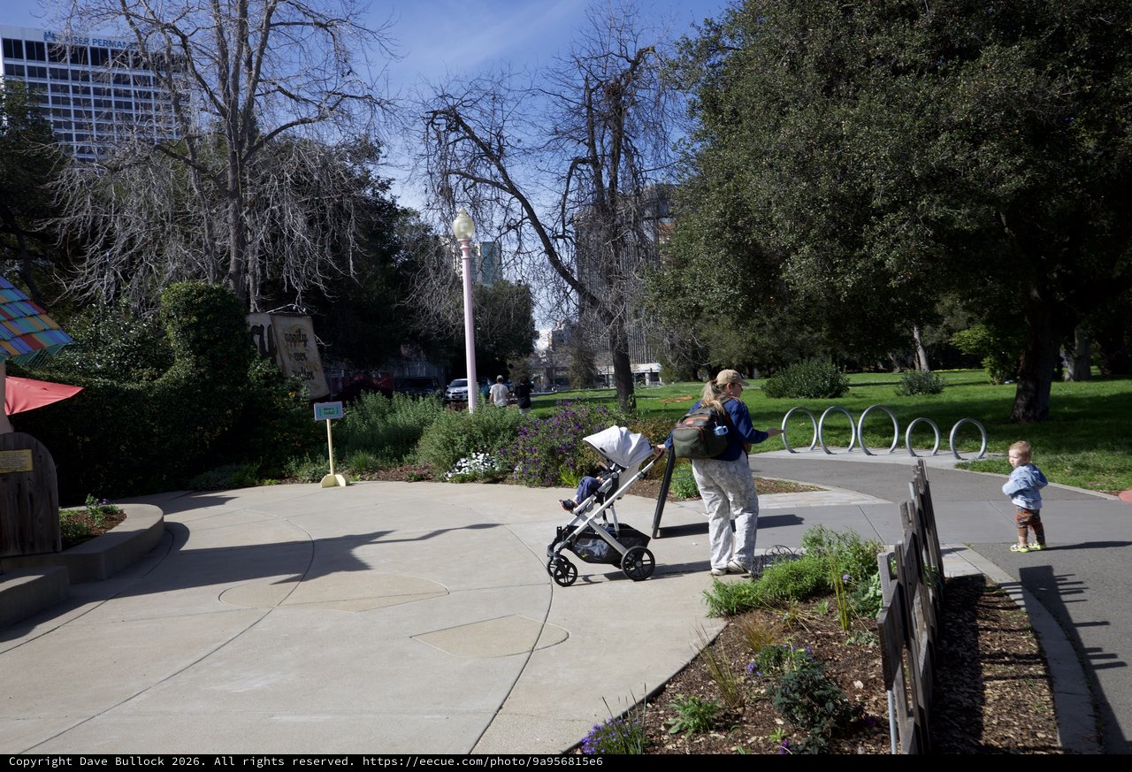 Family Afternoon Stroll Through Urban Park Gardens