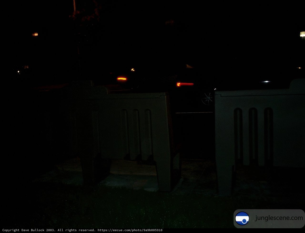 Illuminating Nightscape