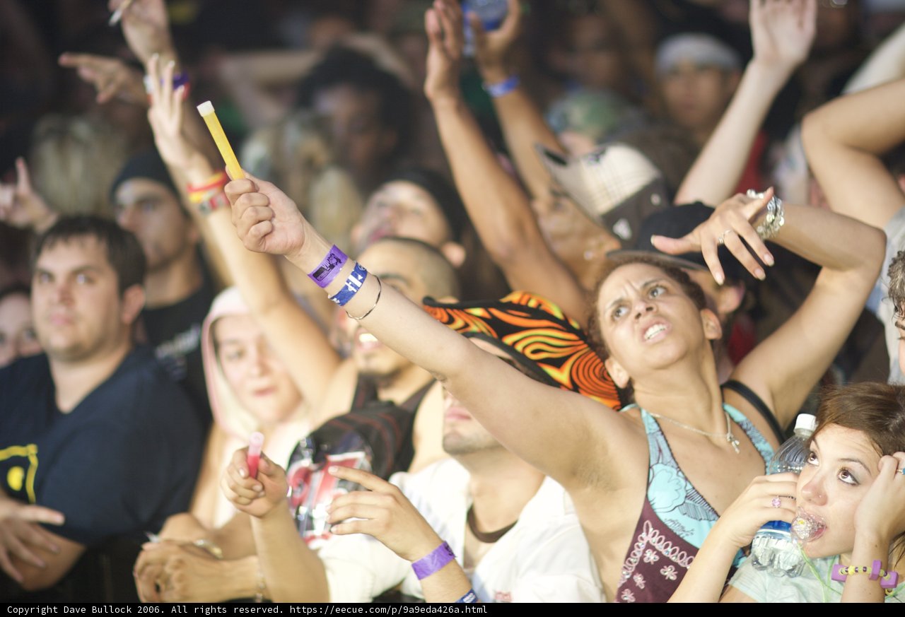 Hands Up in the Crowd