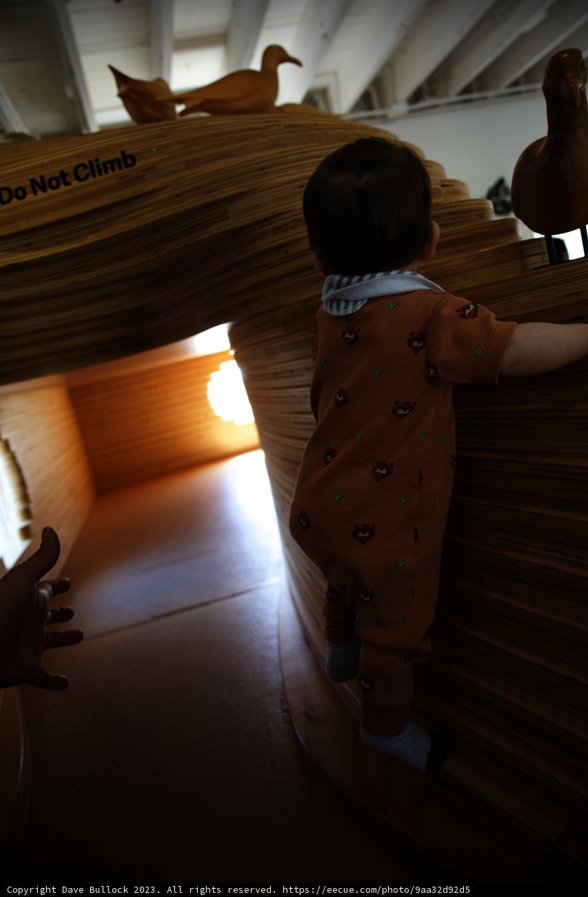 Wesley's Adventure at Bay Area Discovery Museum