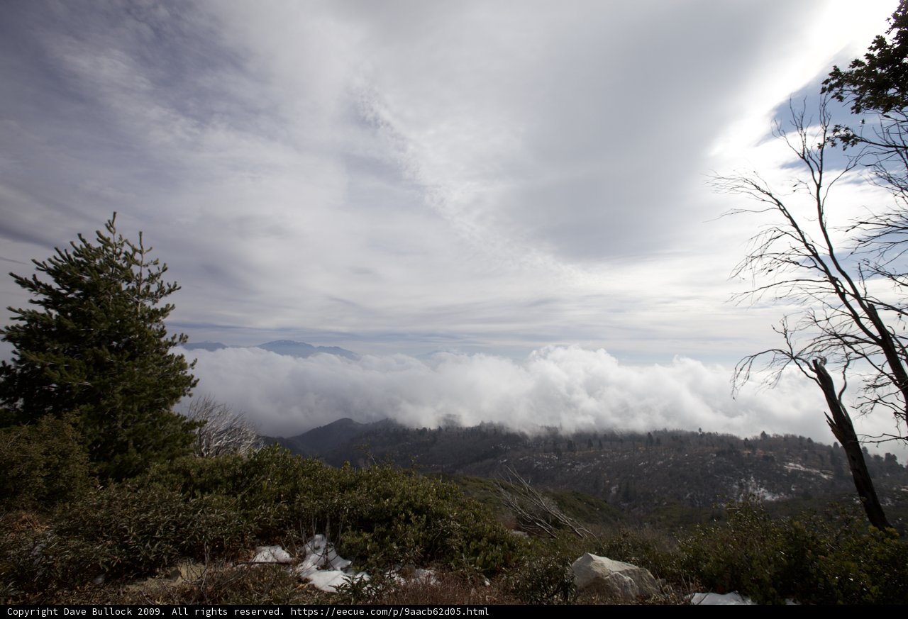 Clouds and Trees from a Mountain Top