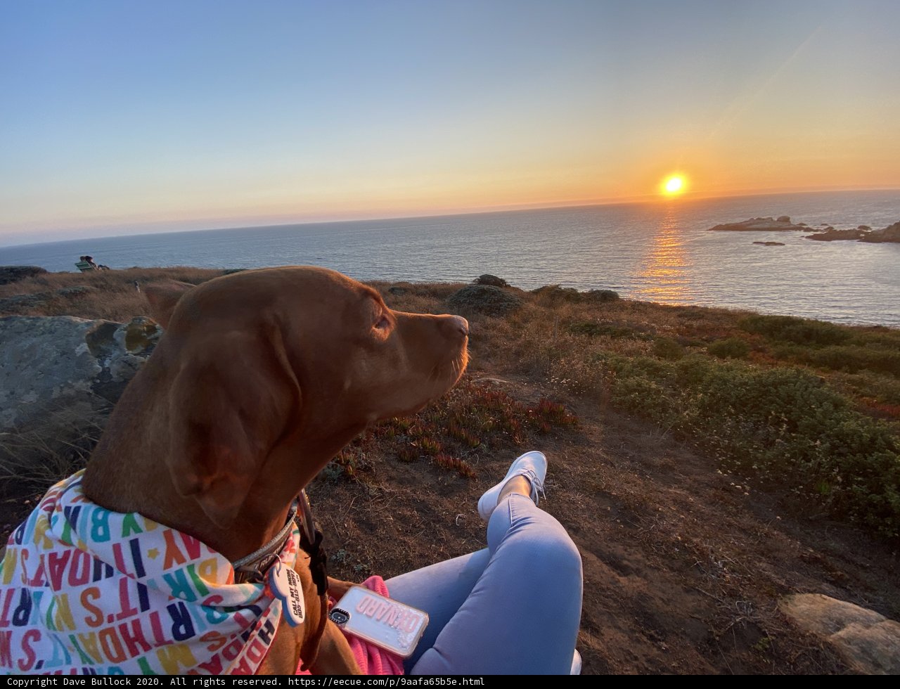 Overlooking the Ocean