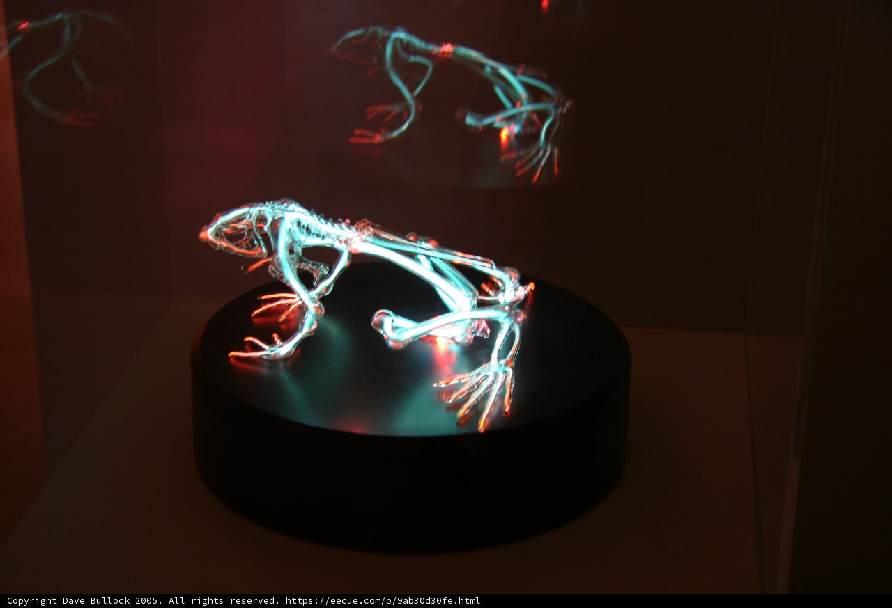 Illuminated Frog Sculpture