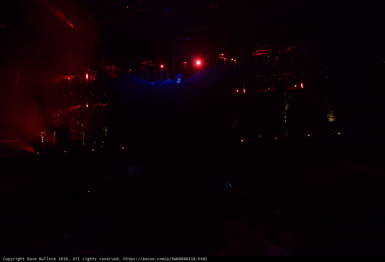 Electrifying Nightlife at Cochella Concert