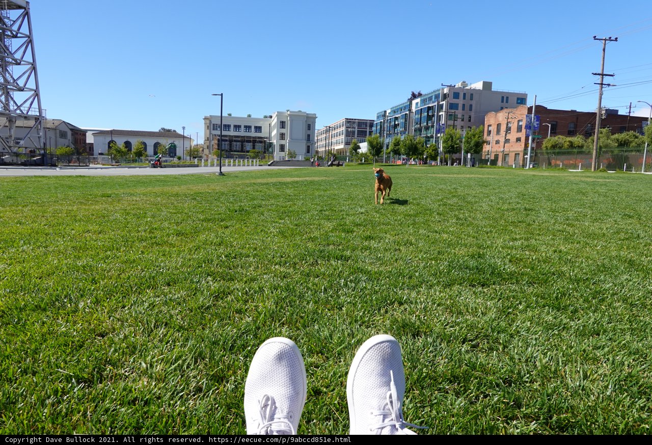 Walking on a Grassy Field