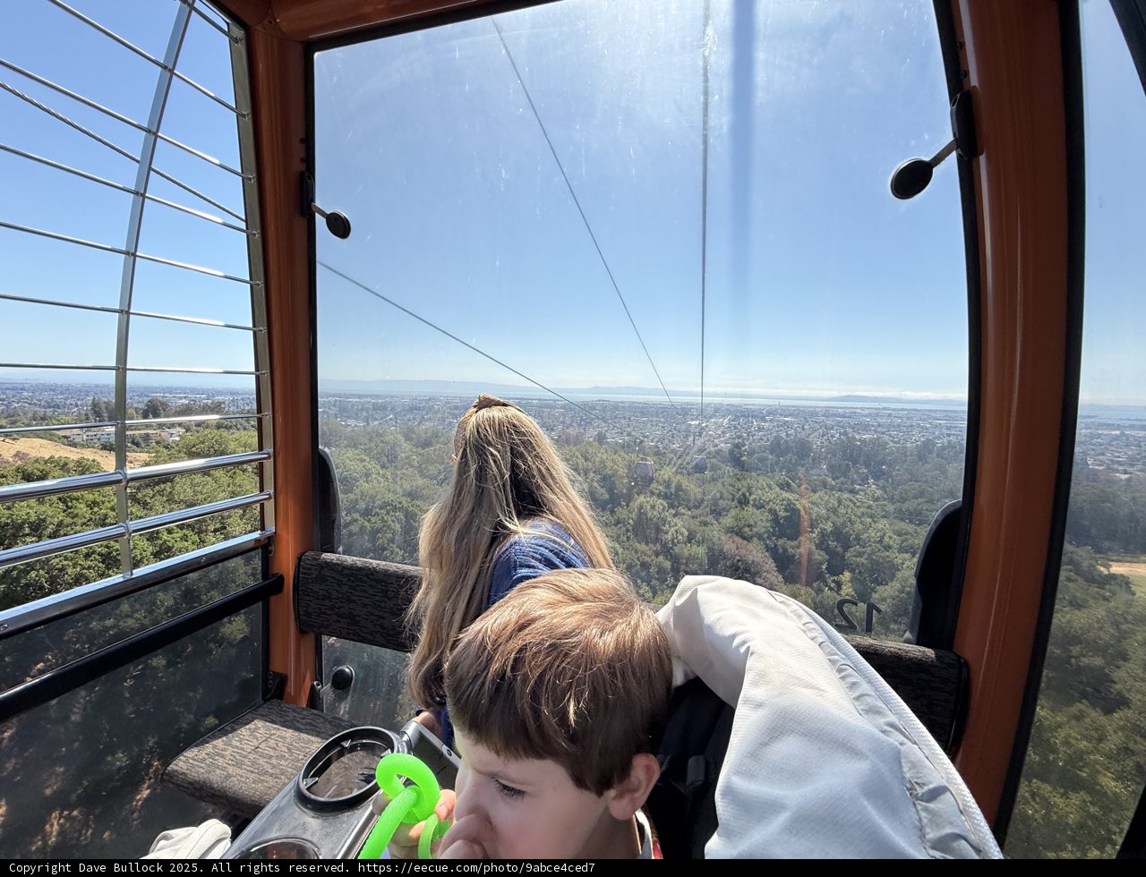 Skyward Adventure at Oakland Zoo