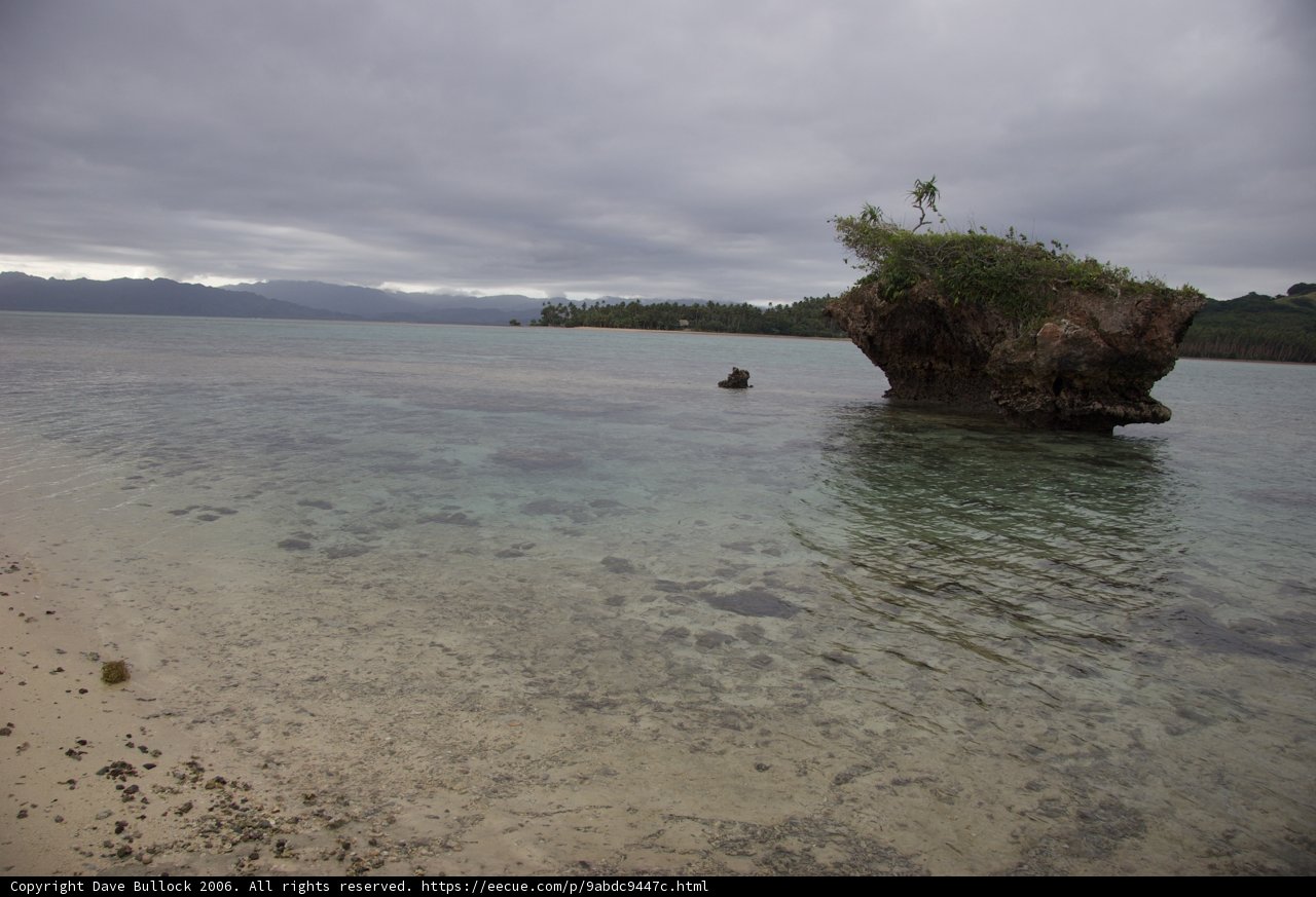 Serenity on the Shoreline