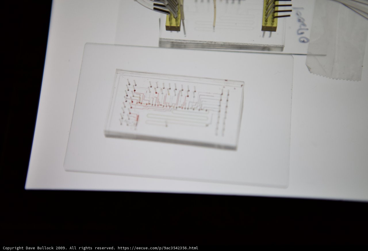 Inside the Micro Bio Chip
