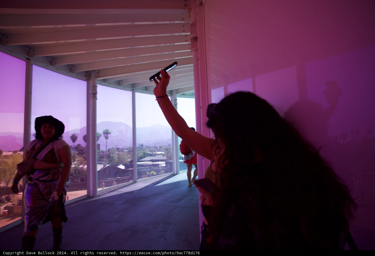 Vivid Snapshots: Connecting Moments at Coachella 2024