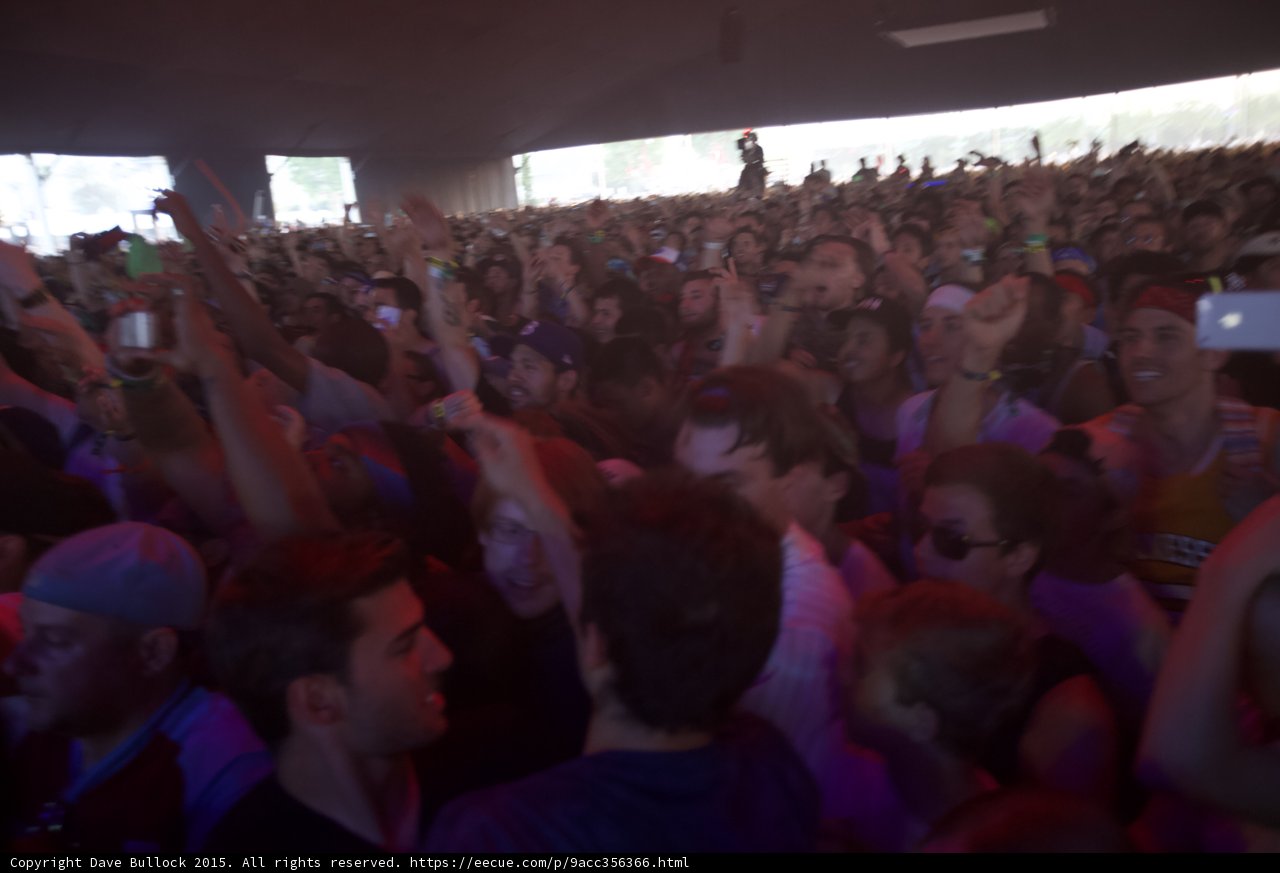 Sahara Crowd Purple Haze