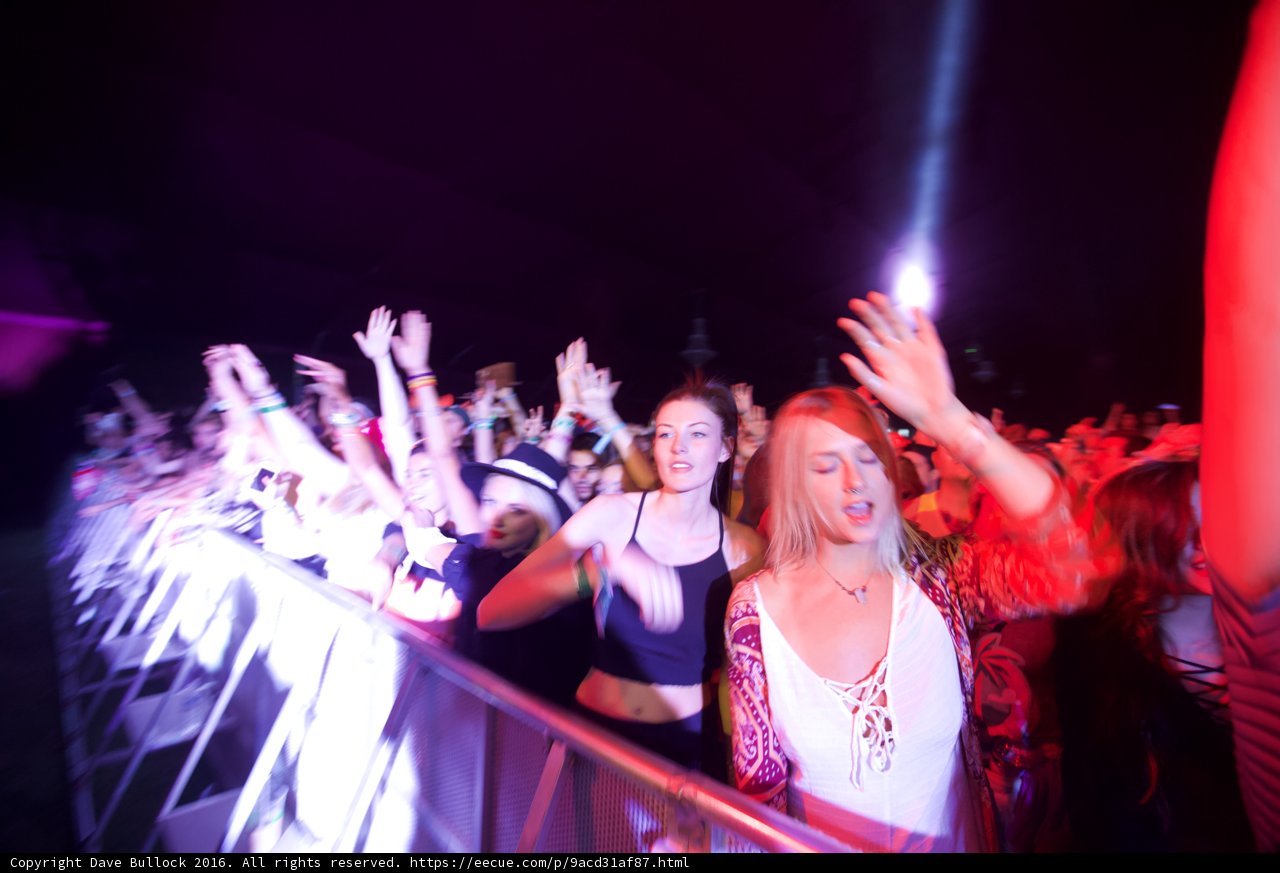 Electric Night Life at Coachella