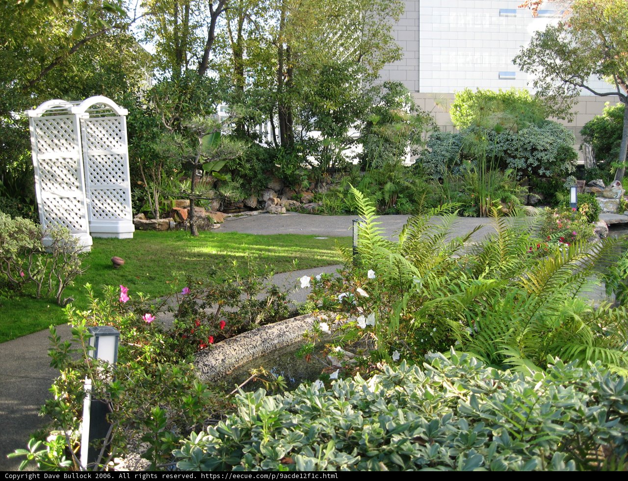 Serenity in the Garden