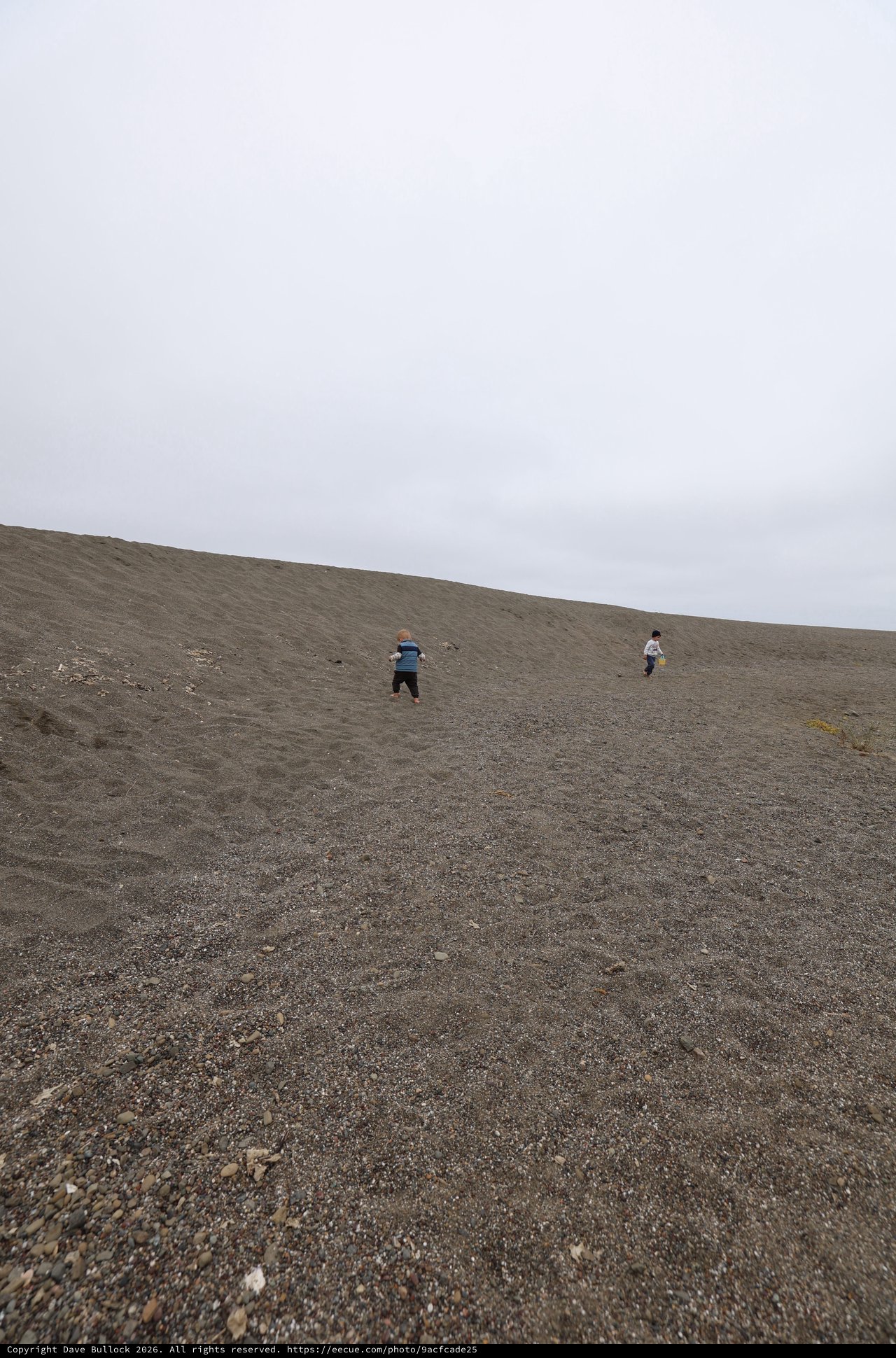 Children Climbing a Vast Coastal Sand Dune