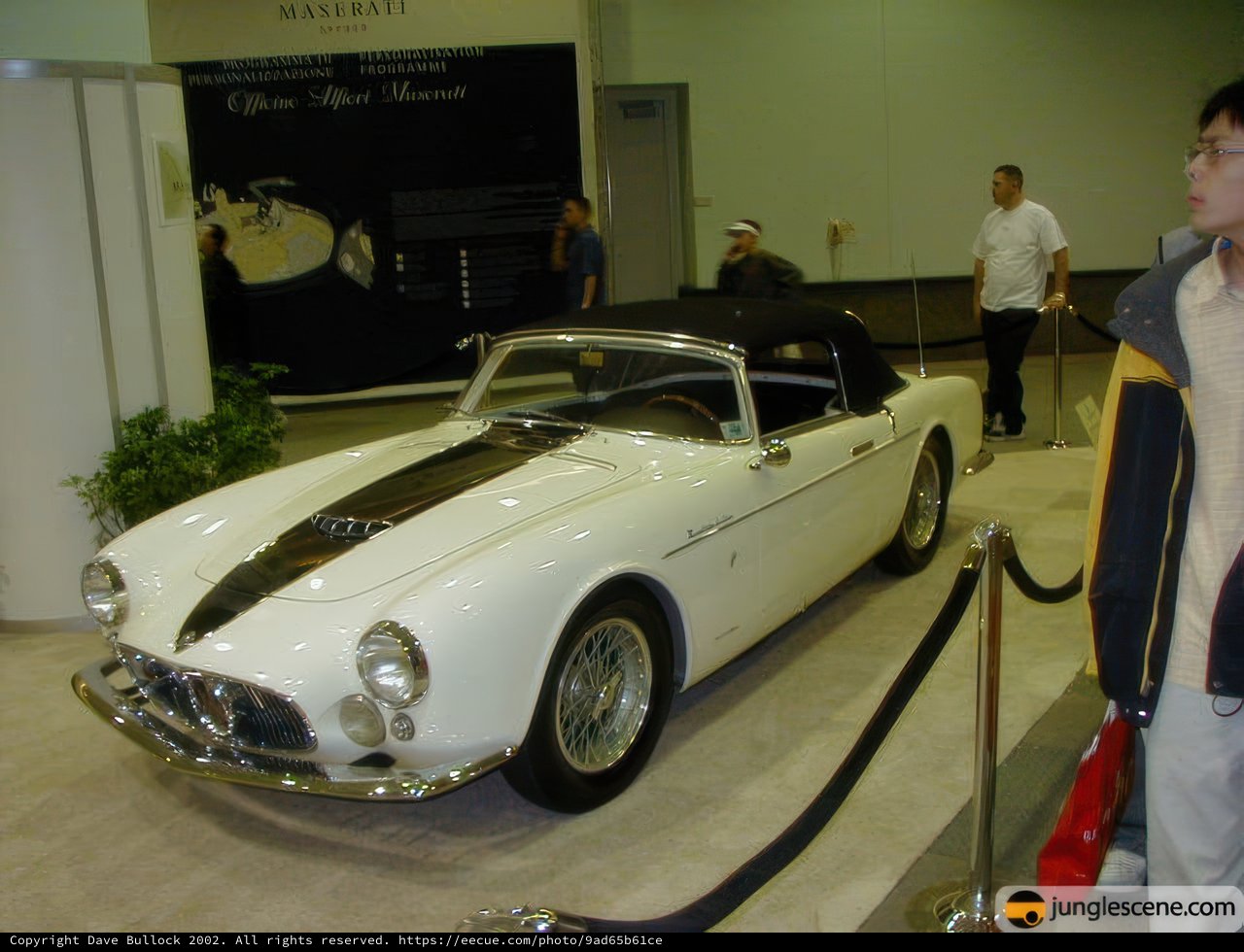 Classic Beauty