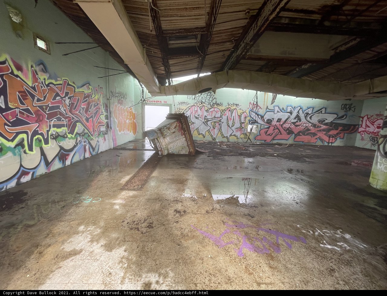 Abandoned Canvas