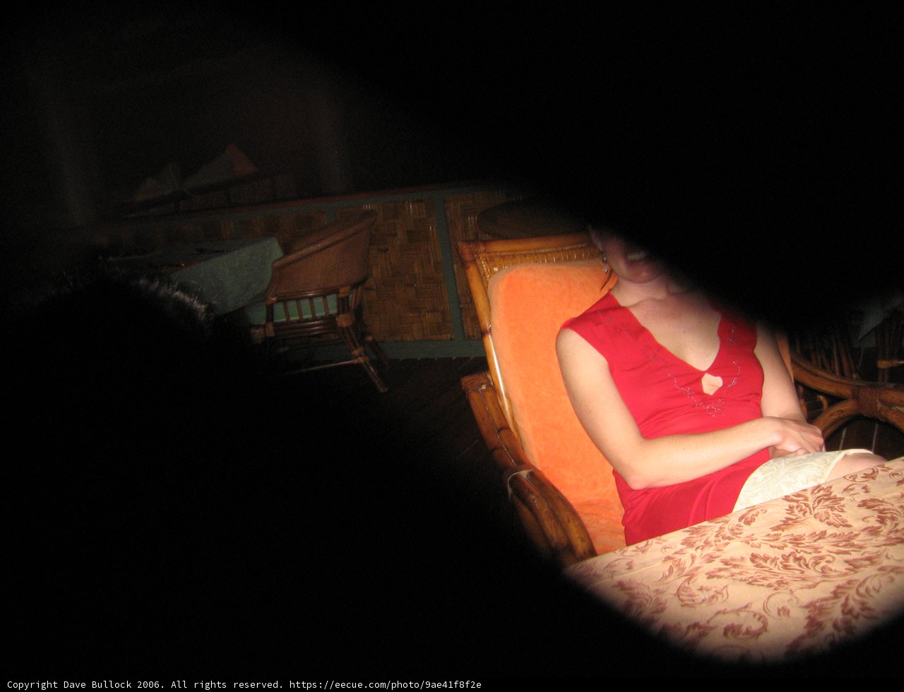 Lady in Red Chair