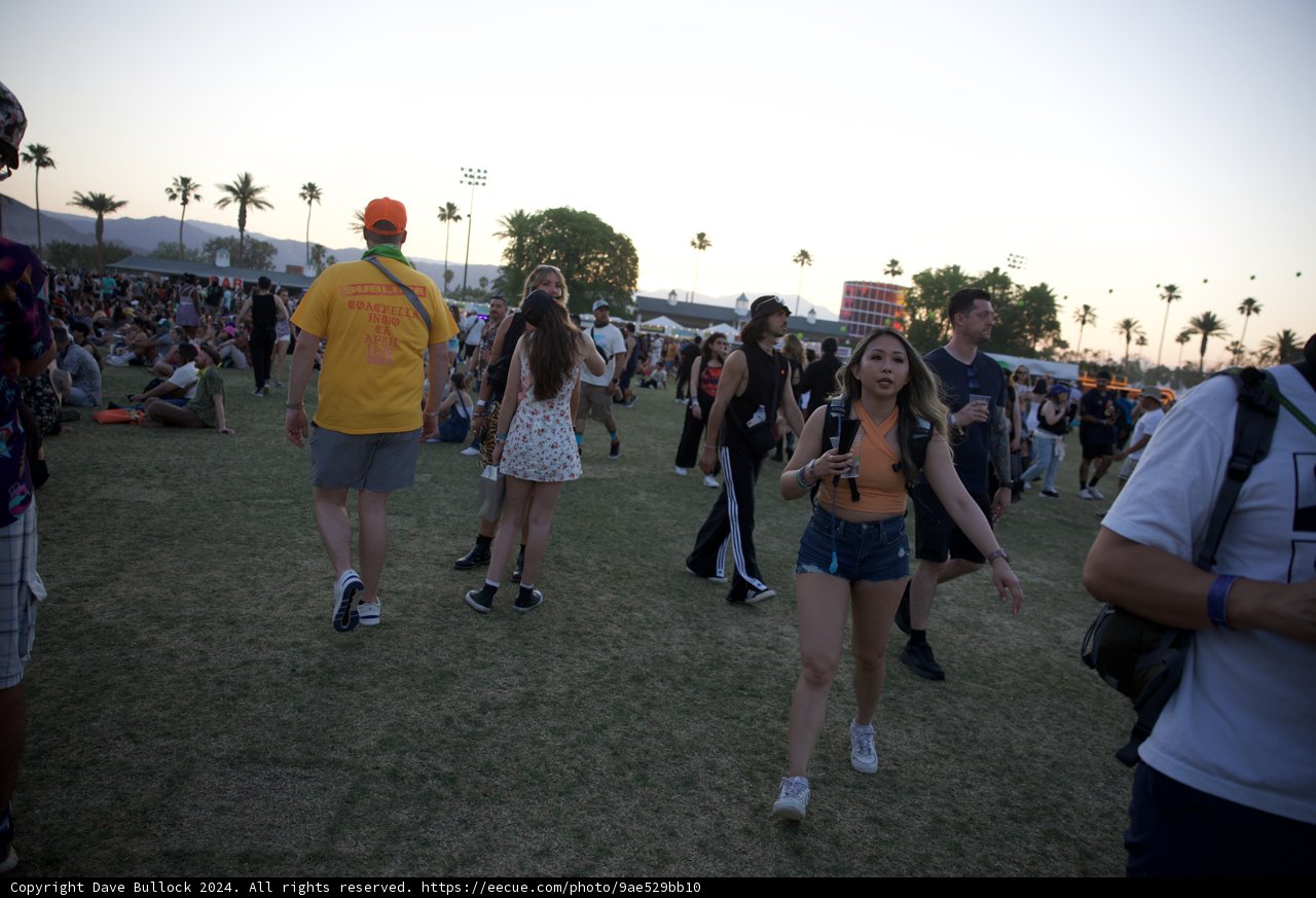 Dusk at Coachella: A Festival of Styles
