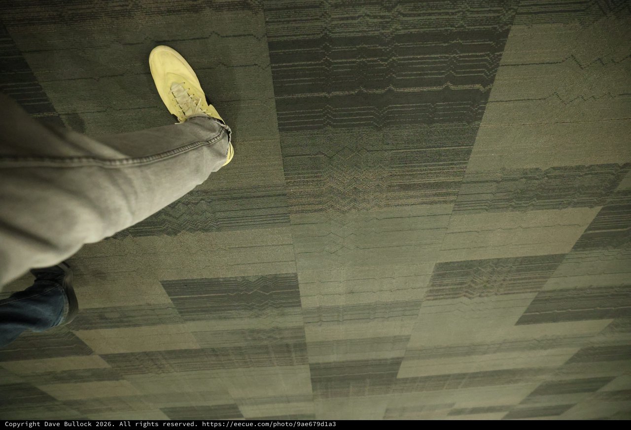Mid-Step: Sneaker Over Patterned Carpet Tiles