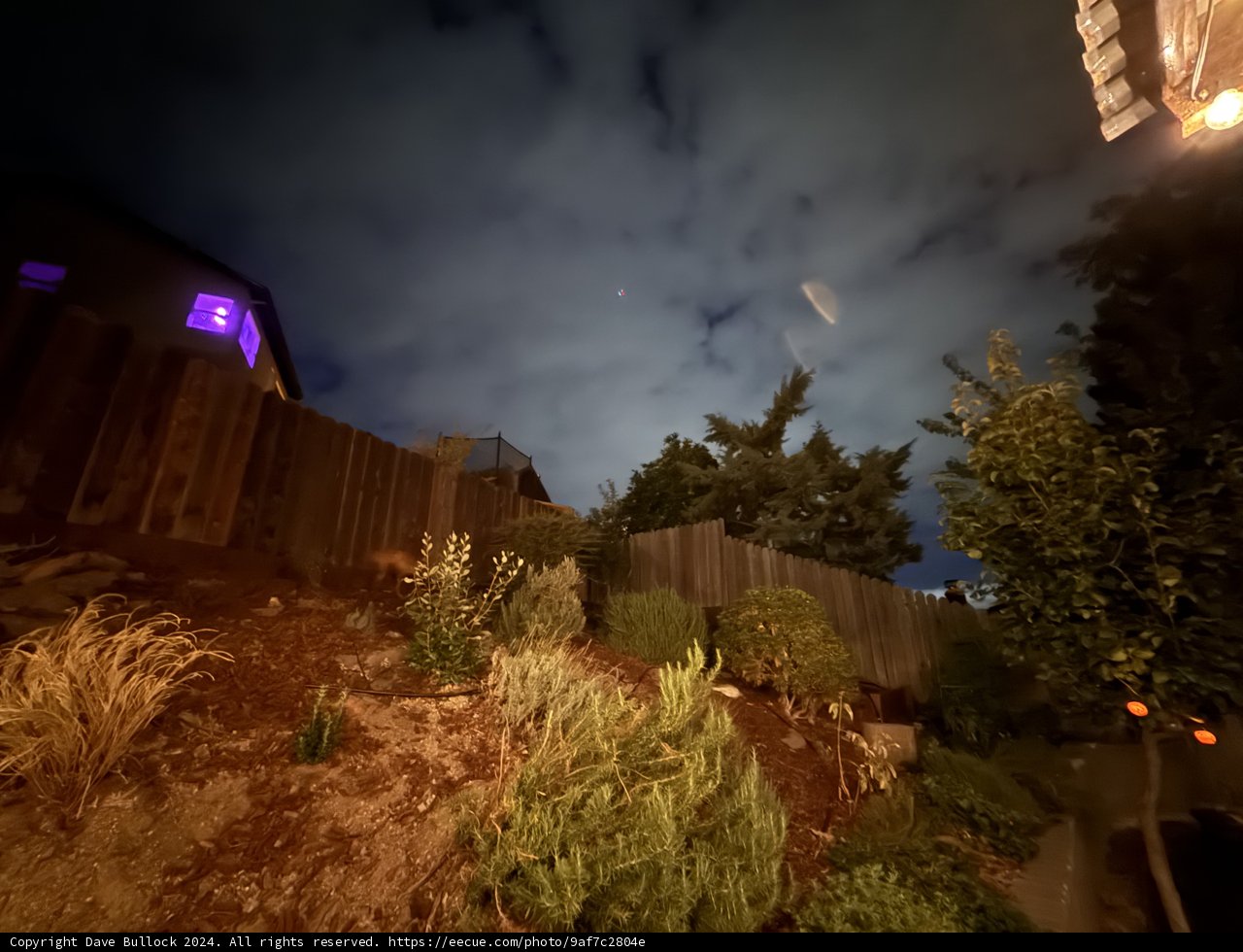 Twilight Glow in the Backyard