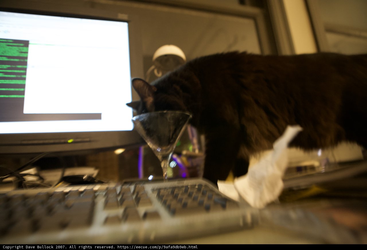 Feline Tech Support