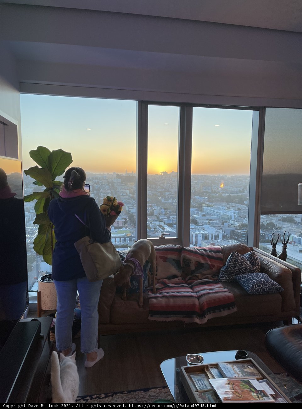 Window of Possibilities