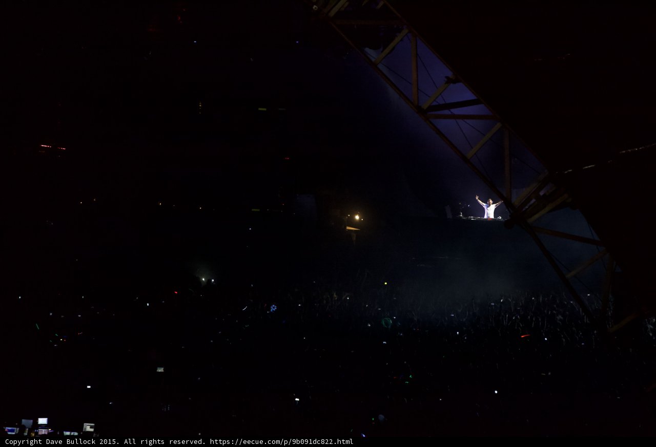 Under the Starry Spotlight