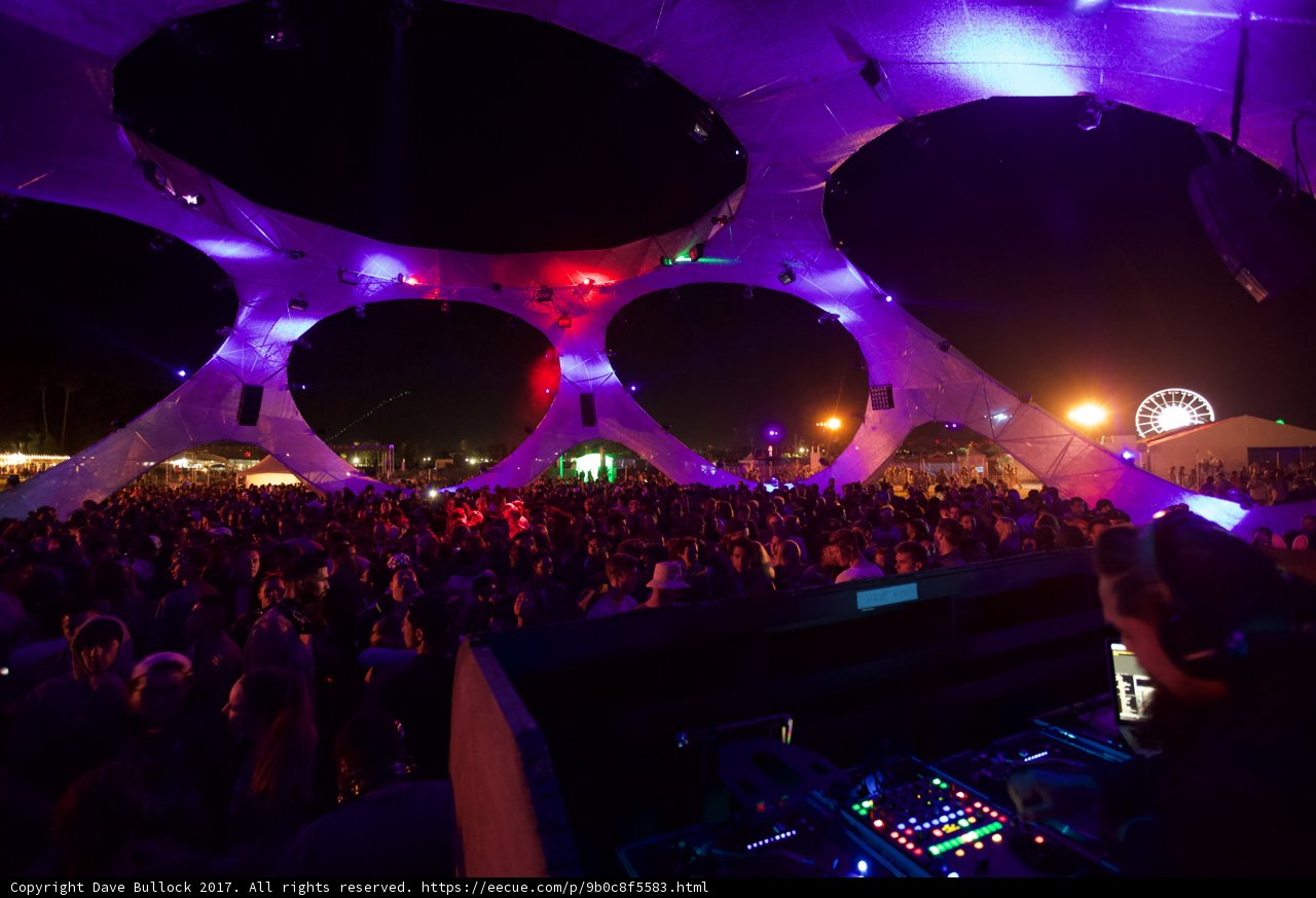 Purple Haze at Coachella