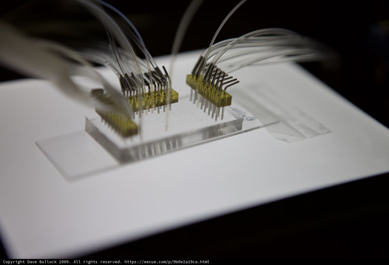 Wiring for Micro Bio Chips