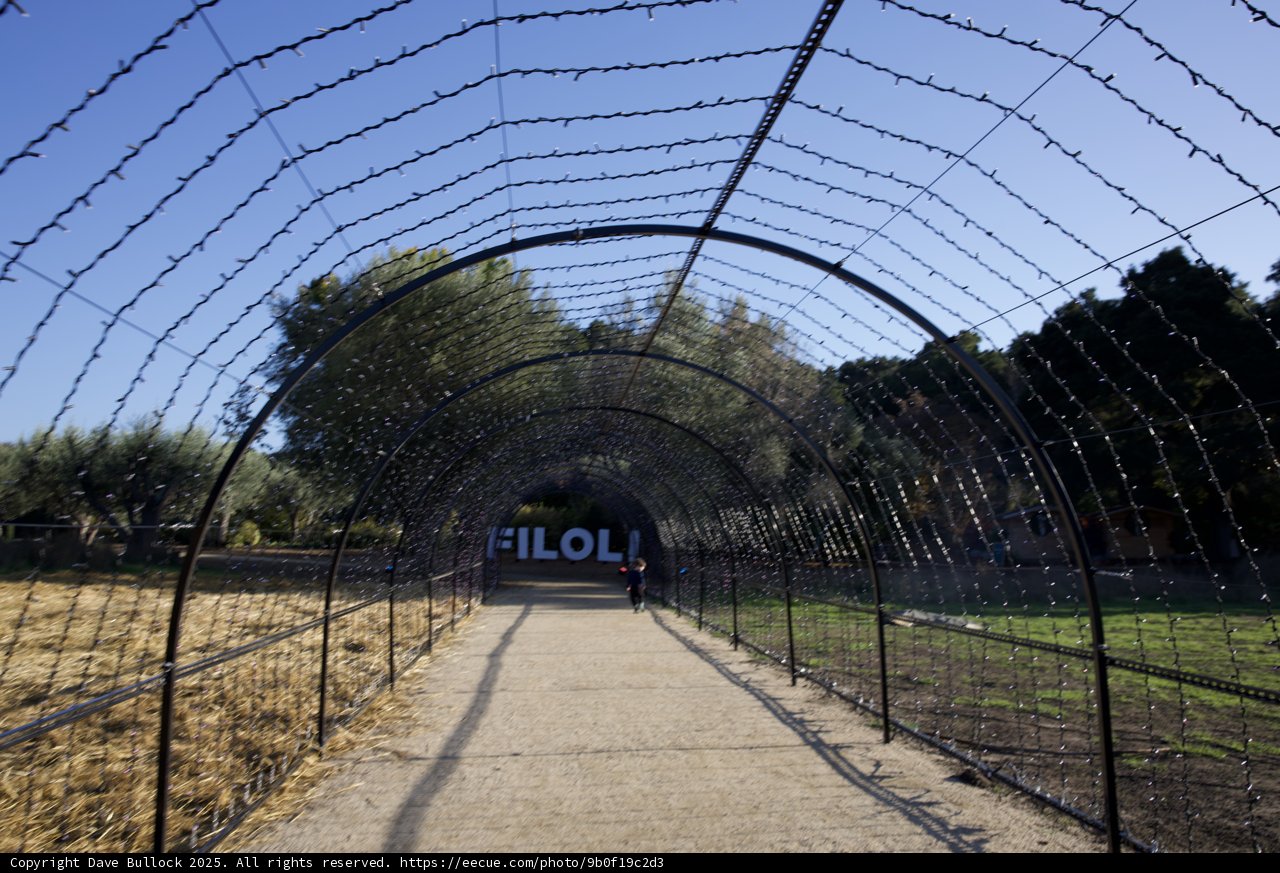 Strolling Through Filoli Gardens