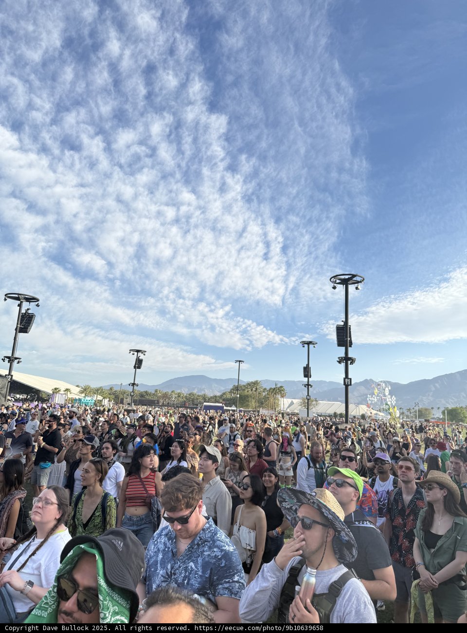 Festival Vibes Under the Desert Sky