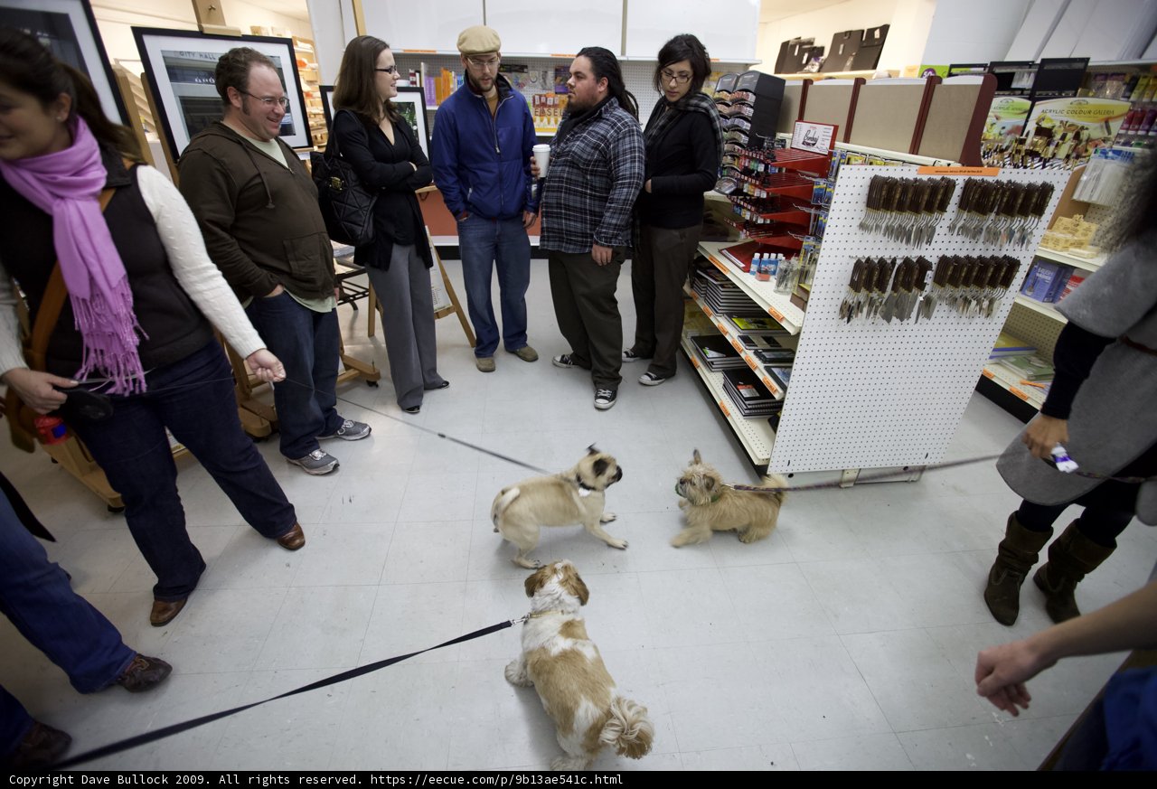 Canine Shopping Spree