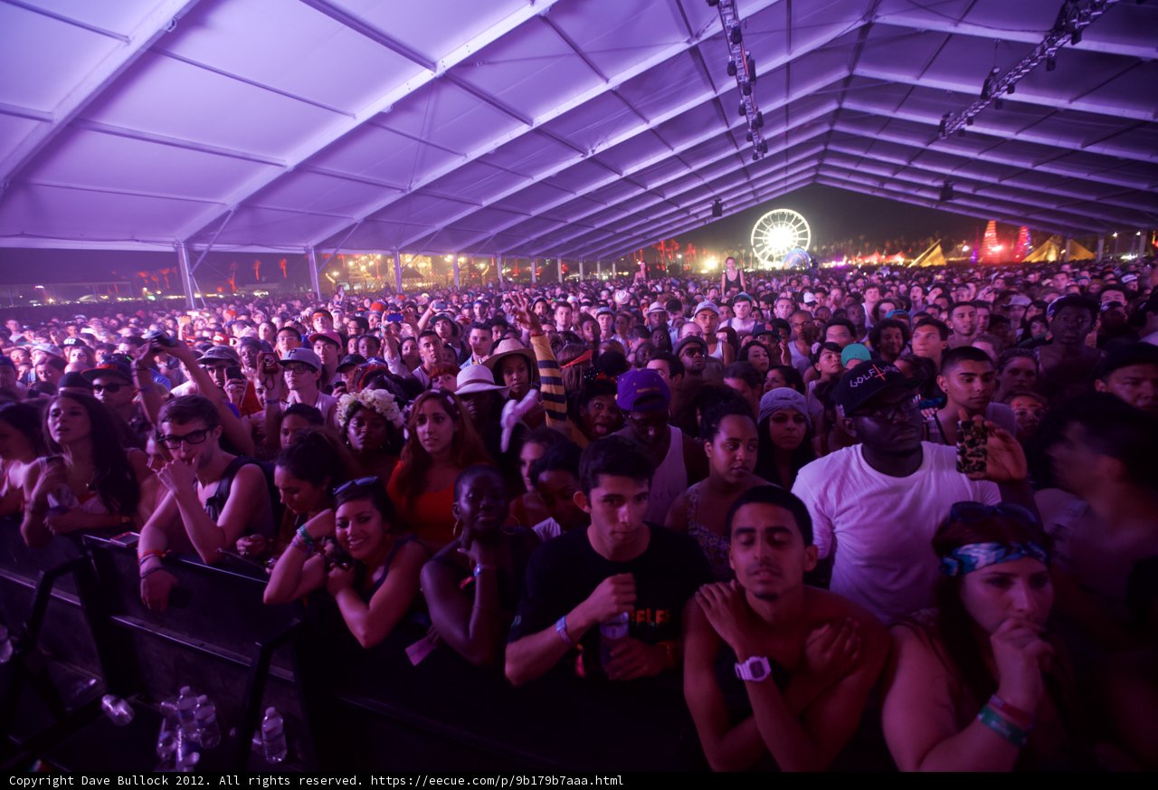 Coachella Crowd Cheers on Performers