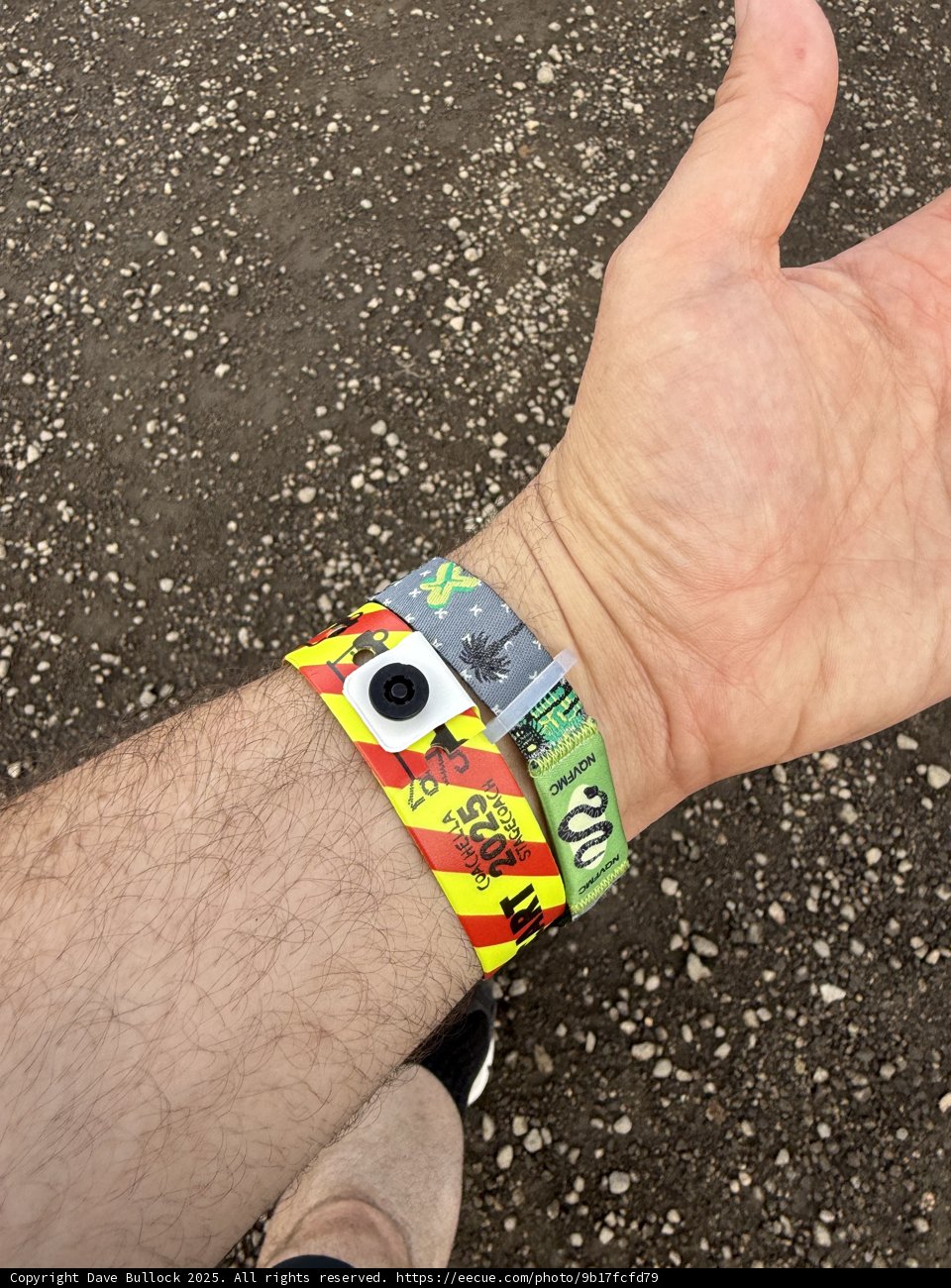 Festival Ready