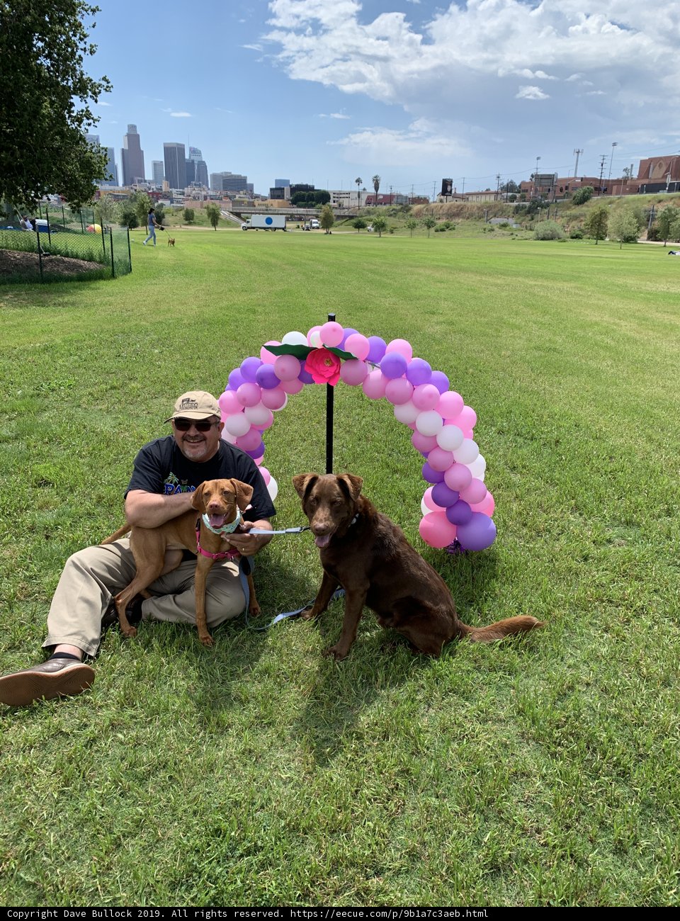 Man and his Canine Companions
