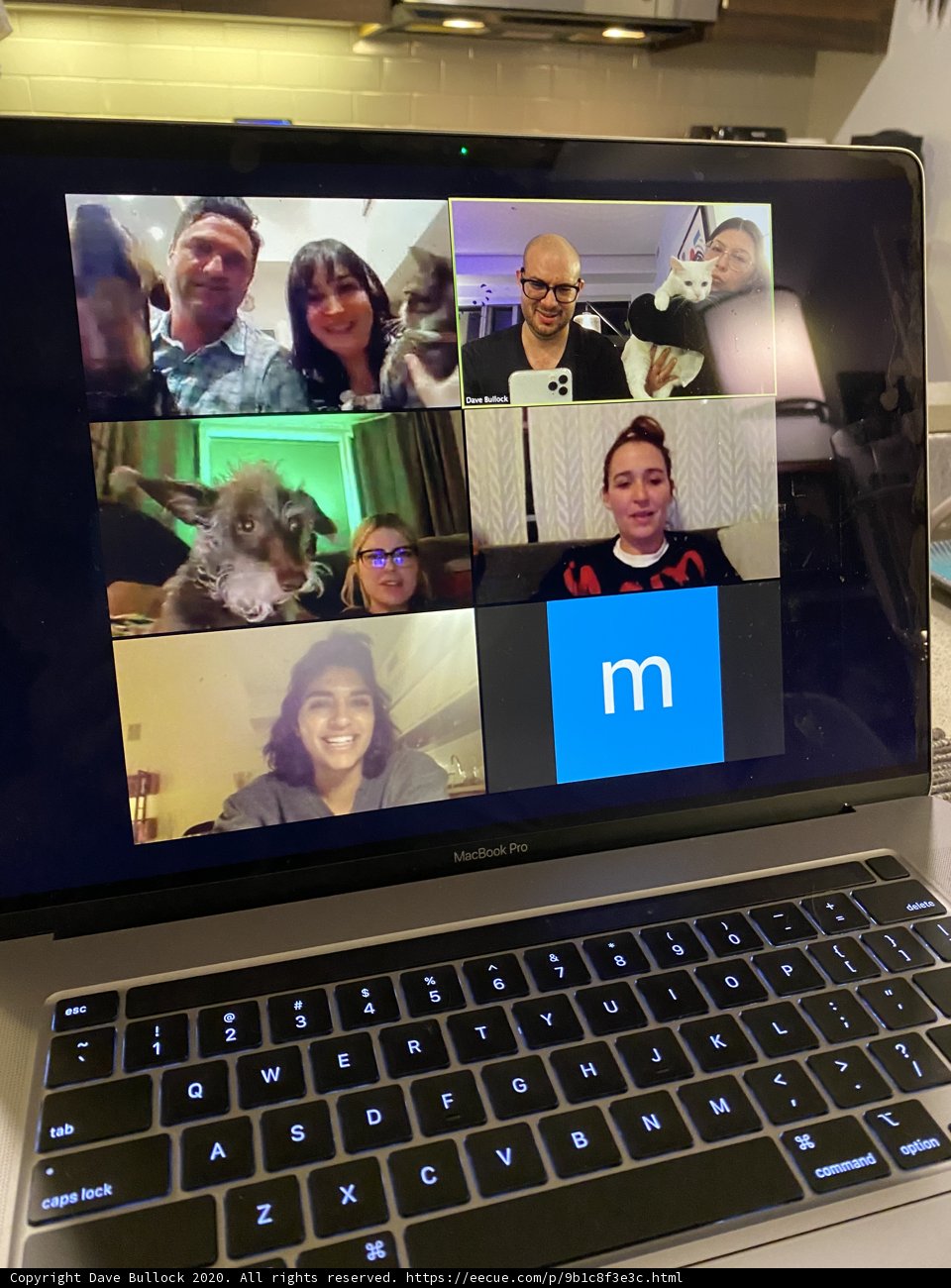 Virtual Meeting on a Laptop
