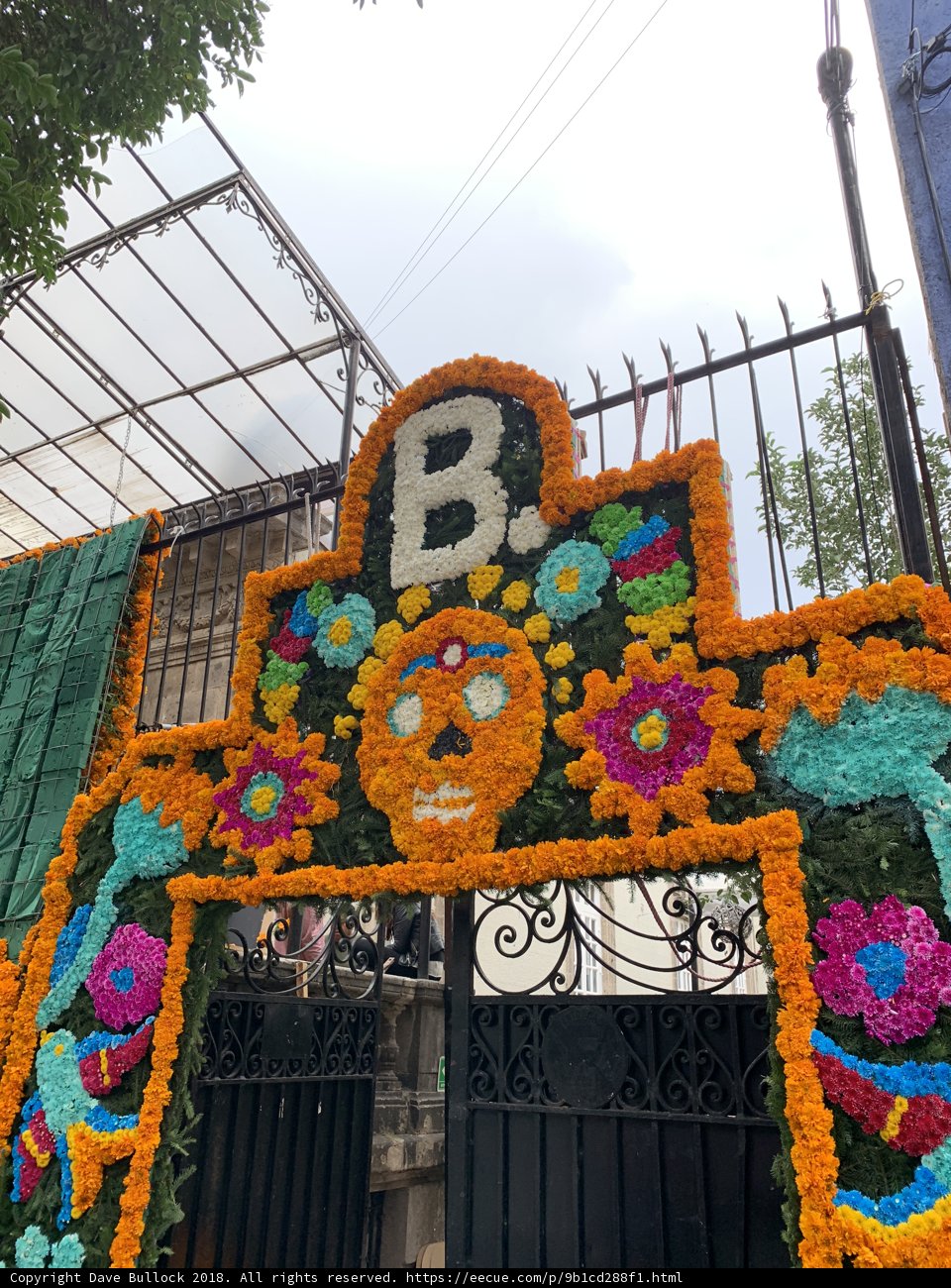 Garden Fence Floral Display