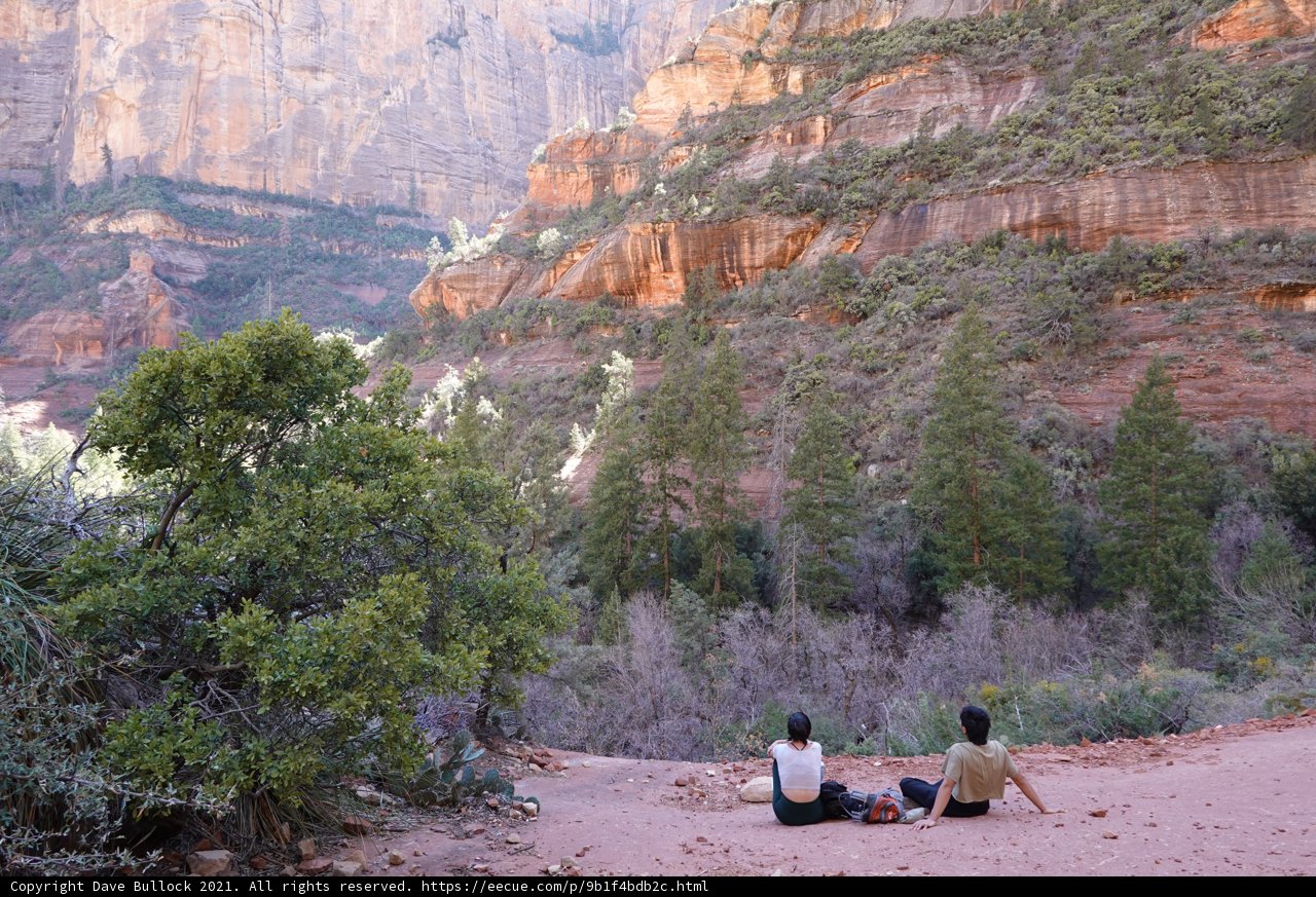 Canyon Views with Company