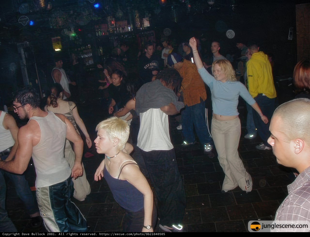 Disco Night Out