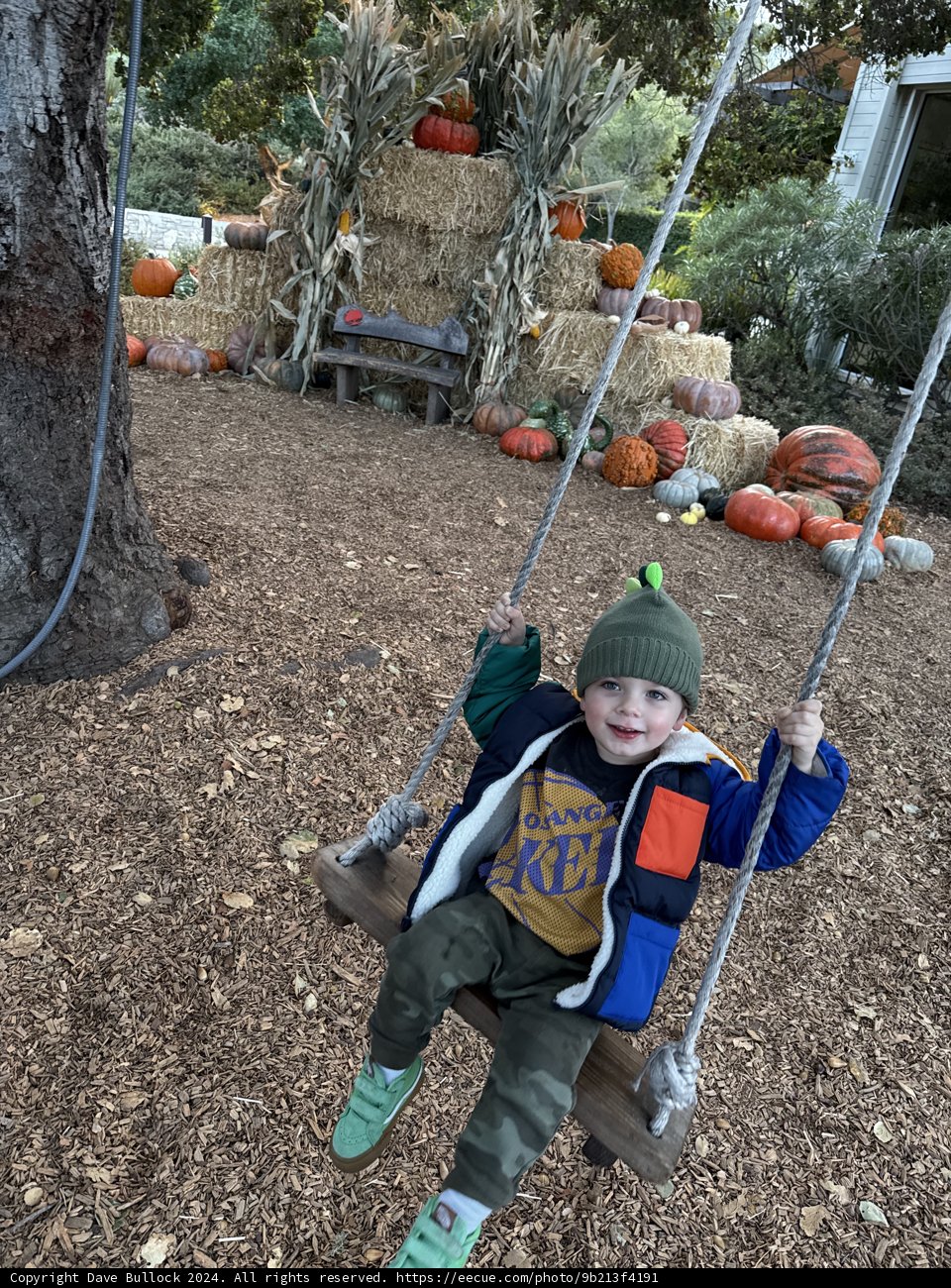 Autumn Adventures in Carmel
