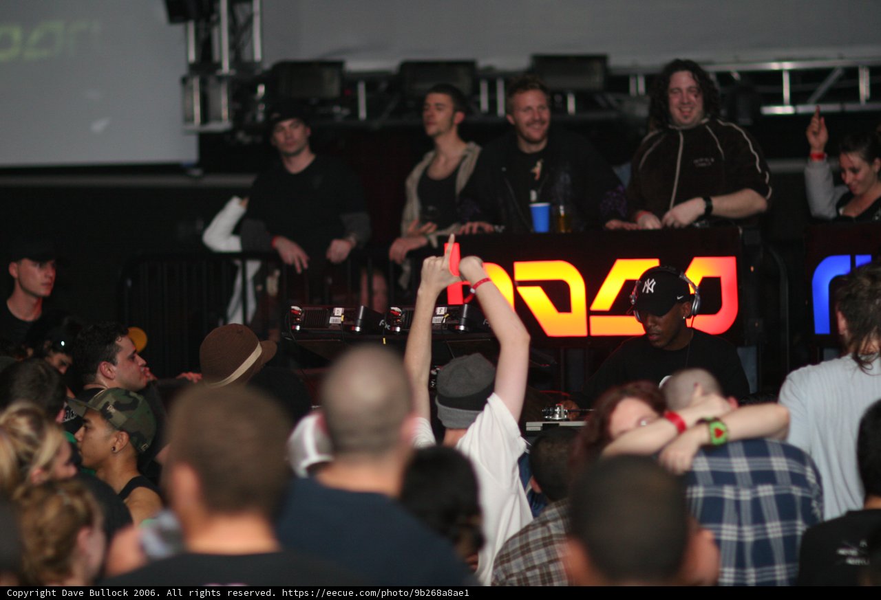 Nightclub Fun with a Crowd